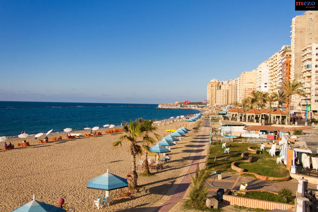 A slow guide to Alexandria’s coast